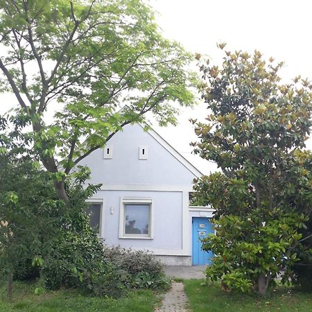 Alla Kittsee Bagian luar foto